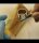 Artesania Latina WOOD GRAIN STENCIL