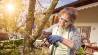 BOSCH Home & Garden nanoBLADE Wood Speed 65 Sägeblatt für kleine Handsäge, 1 St.
