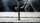 BOSCH Hammerbohrer-Set PRO SDS plus-5X, 3-teilig