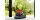 BOSCH Home & Garden Werkzeugakkus mit Ladegerät Starter-Set 36V Li-Ion 2,0 Ah