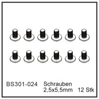 Schrauben 2,5x5,5mm (12 Stück) - BEAST BX / TX