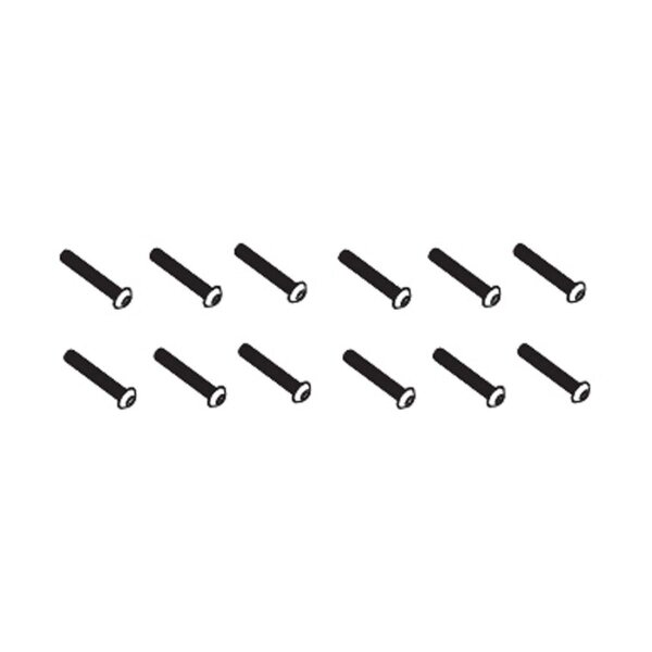 Schrauben 4x22mm (12 Stück) - BEAST BX / TX