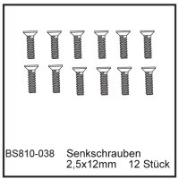 Senkschrauben 2,5x12mm (12 Stück) - BEAST BX / TX