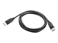 Lenovo DisplayPort Kabel 1,8 m schwarz, 1 St.