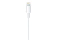 Apple USB 2.0 A/Lightning Kabel 2,0 m weiß, 1 St.
