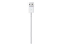 Apple USB 2.0 A/Lightning Kabel 2,0 m weiß, 1 St.
