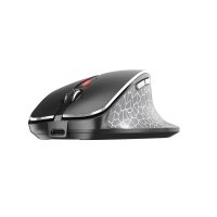 CHERRY MW 8C Maus kabellos schwarz, silber