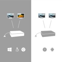 i-tec® C31DUAL4KDP  USB C/DisplayPort Adapter
