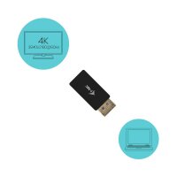 i-tec® DP2HDMI4K60HZ  DisplayPort/HDMI Adapter