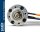 D-Power D-DRIVE IL36 5:1 Getriebemotor Brushless