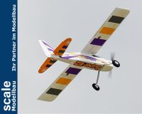 FMS Super EZ V4 RTF incl. 2.4GHz Fernsteuerung + Schwimmer -