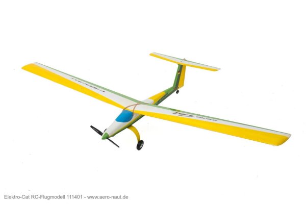 Elektro-CAT Flugmodell