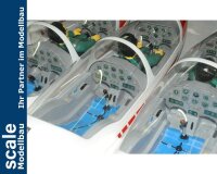Phoenix ASK-21 - 320 cm - E-Version Segler