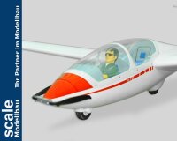 Phoenix ASK-21 - 320 cm - E-Version Segler