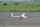 Phoenix ASK-21 - 320 cm - E-Version Segler