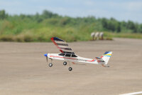 Phoenix Trainer Domino  - 158 cm
