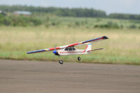 Phoenix Trainer Domino  - 158 cm