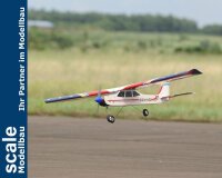 Phoenix Trainer Domino  - 158 cm