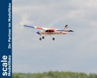 Phoenix Trainer Domino  - 158 cm