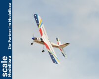 Phoenix Trainer Domino  - 158 cm