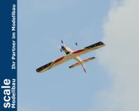 Phoenix Trainer Domino  - 158 cm