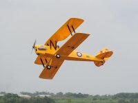 Phoenix Tiger Moth GP/EP ARF - 140 cm