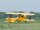 Phoenix Tiger Moth GP/EP ARF - 140 cm