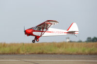 Phoenix Piper Super Cub PA-18 -  273 cm