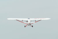Phoenix Piper Super Cub PA-18 -  273 cm