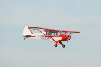 Phoenix Piper Super Cub PA-18 -  273 cm