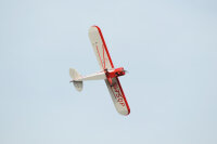 Phoenix Piper Super Cub PA-18 -  273 cm