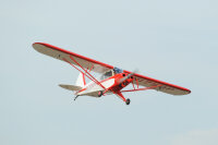 Phoenix Piper Super Cub PA-18 -  273 cm