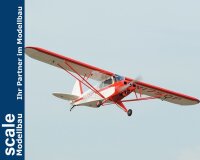 Phoenix Piper Super Cub PA-18 -  273 cm