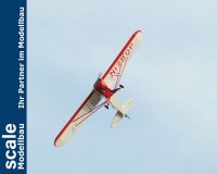 Phoenix Piper Super Cub PA-18 -  273 cm