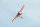 Phoenix Piper Super Cub PA-18 -  273 cm