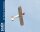 Phoenix Piper Super Cub PA-18 -  273 cm