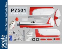 Phoenix Ryan STA - 180 cm