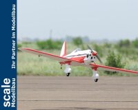 Phoenix Ryan STA - 180 cm