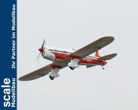 Phoenix Ryan STA - 180 cm