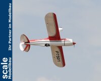 Phoenix Ryan STA - 180 cm