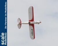 Phoenix Ryan STA - 180 cm