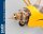 Phoenix Piper J-3 Cub - 215 cm