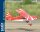 Phoenix Decathlon 20cc - 230 cm