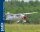 Phoenix Westland Lysander - 190 cm