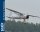 Phoenix Westland Lysander - 320 cm