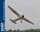 Phoenix Westland Lysander - 320 cm