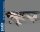 Phoenix Stinson Reliant 35cc - 220 cm