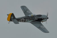 Phoenix FW-190 Focke Wulf - 172 cm