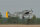 Phoenix FW-190 Focke Wulf - 172 cm