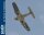 Phoenix F4U Corsair 60CC GP/EP scale 18% ARF Carbon - 217 cm